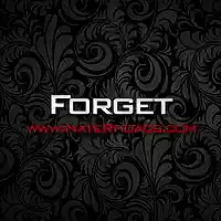 Picture for song 'Forget' by artist 'Nate Rhoads'