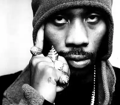 Picture for song '(Free) RZA x Boom Bap Type Beat - 'Rainbow'' by artist 'PerFact Beats'