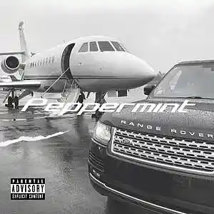 Picture for song 'Peppermint' by artist 'Beats by Pixel'