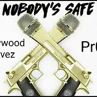 Picture for song 'Nobodys Safe Ft Pr0fit (prod by Chase Gibran Beats' by artist 'Hollywood Movez'