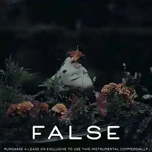 Picture for song 'False' by artist 'iden'