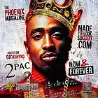 Picture for song '*2Pac* Pac's Life (Free D\L)' by artist 'PLATINUM SELLERS BEATS'