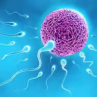 Picture for song 'Conception' by artist 'Superbron'