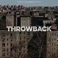 Picture for song 'Throwback (Buy 1 Get 1-3 FREE)' by artist 'V-Sine Beatz'