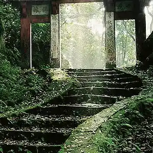 Picture for song 'Silent forest' by artist 'Young Footy'