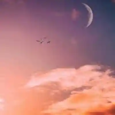 Picture for song 'Elevated Frequency' by artist 'Lecks Beats'