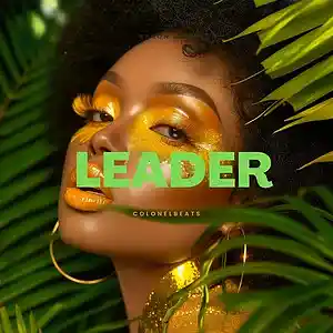Picture for song 'leader' by artist 'colonelbeats'