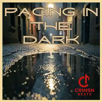 Picture for song 'Pacing In The Dark MGK Type Beat Melodic Rap' by artist 'Crimsn Beats'