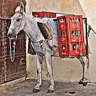 Picture for song 'EYERAP - Cokemule - Instrumental' by artist 'EYERAP PRODUCTIONS'