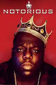 Picture for song 'Biggie (The Funk Remix )' by artist 'Genetic25 Productions'