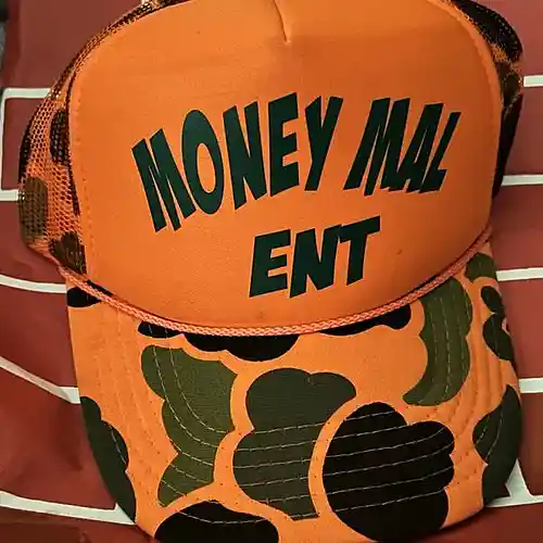 Picture for song 'moneymal ( really aint )' by artist 'moneymal entertainment'