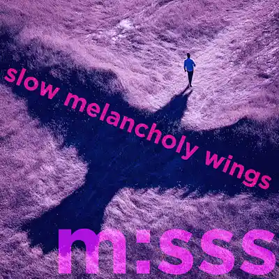 Picture for song 'm:sss - slow melancholy wings' by artist 'magic messs'