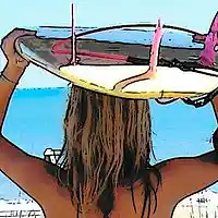Picture for song 'Beach Crack' by artist 'VMP (USA)'