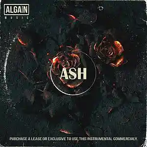 Picture for song 'Ash' by artist 'Algain-Music'