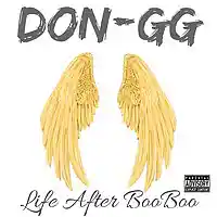 Picture for song 'Don-GG - What U Want Official Audio' by artist 'DON-GG'