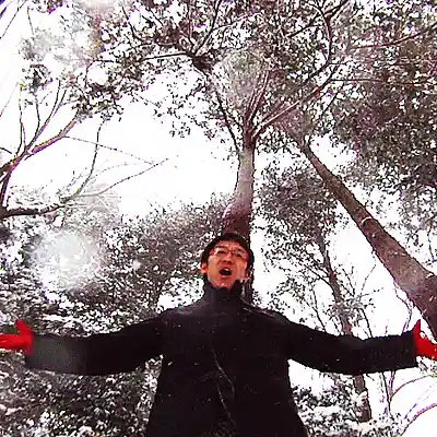 Picture for song 'Trees of Peace(2025Mix)' by artist 'Honeywar'