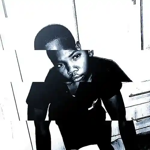 Picture for song 'success_prod.seli_mp3_62798' by artist 'LilHavocsa MSK'