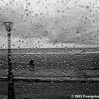 Picture for song 'Beneficient Rain' by artist 'Light Uzamaki'