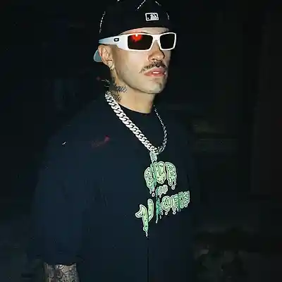 Picture for song 'FEID Nengo Flow Gangster y Pistolas remix' by artist 'Littium Music'