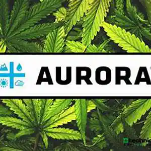 Picture for song '21 6 2023 maya samsung ha fbi kore lapd offspring' by artist 'mcmakktenicetxtheprince'