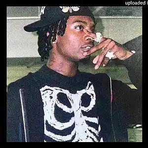 Picture for song 'vinyl!' by artist 'roscoemire'