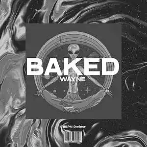 Picture for song 'BAKED' by artist 'wayne.prods'