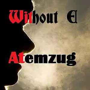 Picture for song 'ATEMZUG' by artist 'WITHOUT E'