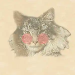 Picture for song 'Cats Meow' by artist 'Darryl Zuber's 10th World'