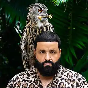 Picture for song 'POPSTAR - Drake type beat // 1+4 FREE Today' by artist 'BEATS by Diamond Style'