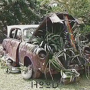 Picture for song 'HooD Buy 1 Get 2 Free' by artist 'CGPbeats'