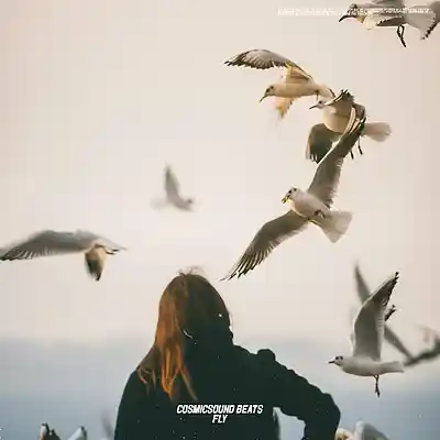 Picture for song 'Guitar Type Beat - "Fly", Acoustic Guitar Type Bea' by artist 'COSMICSOUND BEATS'