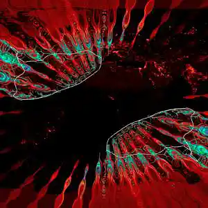 Picture for song 'WORLD of ACID sounds - ADM+Flute passive record sp' by artist 'Cosmic Tones 432Hz'