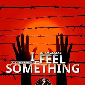 Picture for song 'I Feel Something' by artist 'DJ Smuggler'