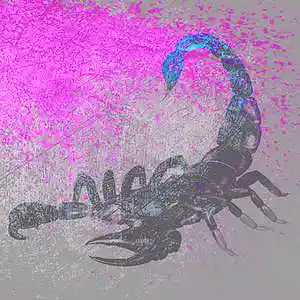 Picture for song '"House of the Scorpion" Prod. NorthWood' by artist 'NorthWood Beats'