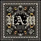 Picture for song 'H.A.M.' by artist 'ProdByFlyZone'