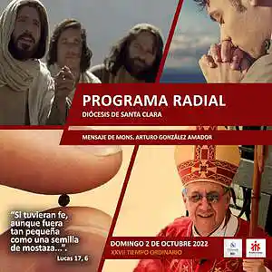 Picture for song 'Domingo XXVII Tiempo Ordinario, 2 de octubre.' by artist 'Producciones Vandor'