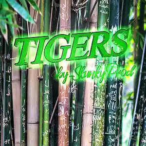 Picture for song 'Tigers - beat by skunky prod 145 bpm' by artist 'Skunky Prod Beatmaker'