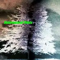 Picture for song '02 Universalia Hexapylon - Flying Alien Rods' by artist 'Universalia Hexapylon'