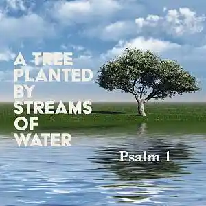 Picture for song 'Like a Tree (Psalm 1)' by artist 'Adrian J Pratt'