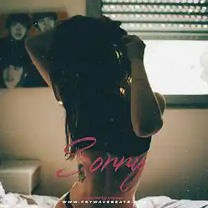 Picture for song '«Sorry» (Deep House x Pop Dance Type Beat)' by artist 'CRYWAVE.'