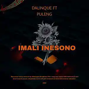 Picture for song 'Dalinque - Imali Inesono (Ft Puleng)' by artist 'Dalinque'