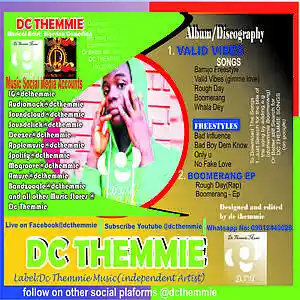 Picture for song 'Valid Vibes- Ep (Album by Dc Themmie)' by artist 'DC Themmie'