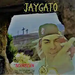 Picture for song 'WHO' by artist 'JAYGATO'