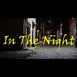 Picture for song 'In The Night' by artist 'Lex Looper'