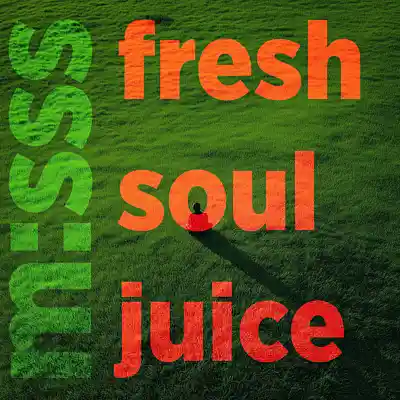 Picture for song 'm:sss - fresh soul juice' by artist 'magic messs'