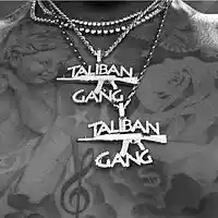 Picture for song 'Taliban ' by artist 'Scott Styles'