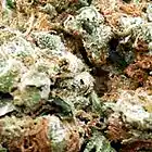 Picture for song 'High for days !!Free Download!!' by artist 'Syco Productions'