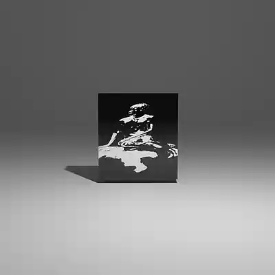 Picture for song 'LORDS' by artist 'Alistair Fontaine'