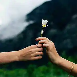 Picture for song 'Generous (Instrumental)' by artist 'Denzlo'