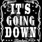 Picture for song 'It's Going Down! Bpm130.B major' by artist 'Dj Katfish'